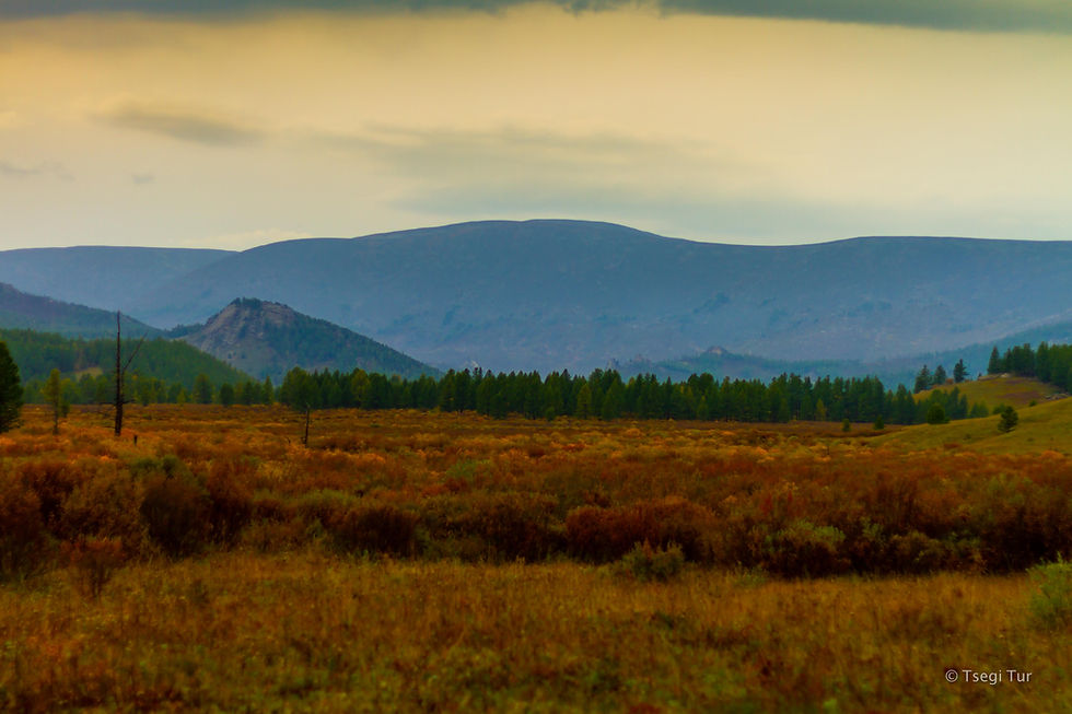 Beautiful view in the Taiga