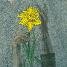 illustration of hands using magic thread to weave a daffodil, artist's signature reads C.H. Pearce
