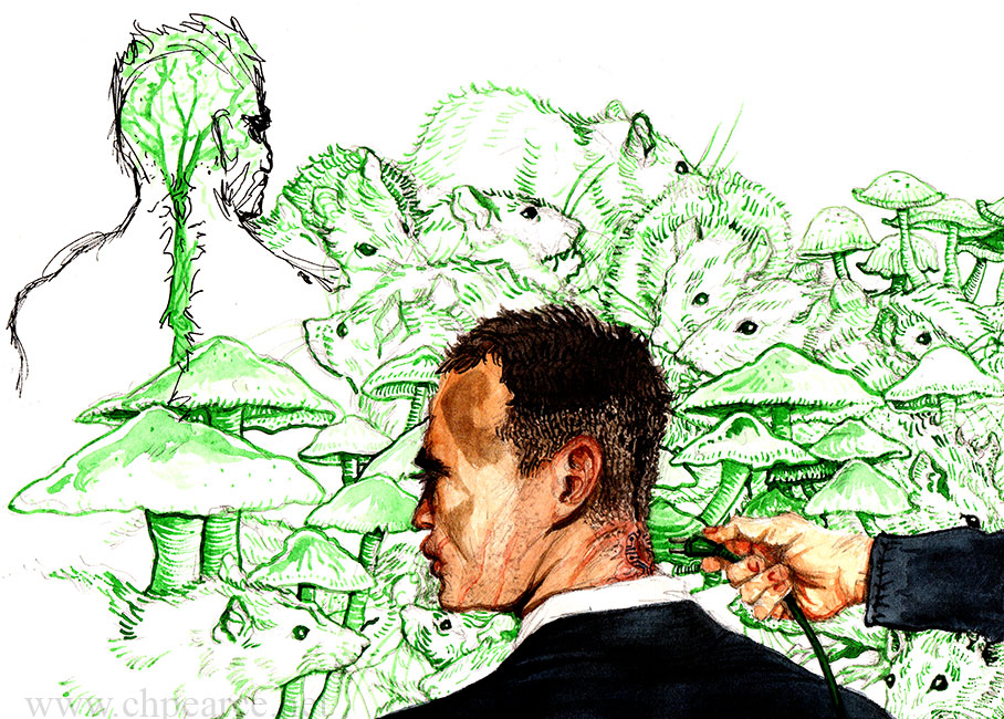 Mr Rust and the Brain Tree