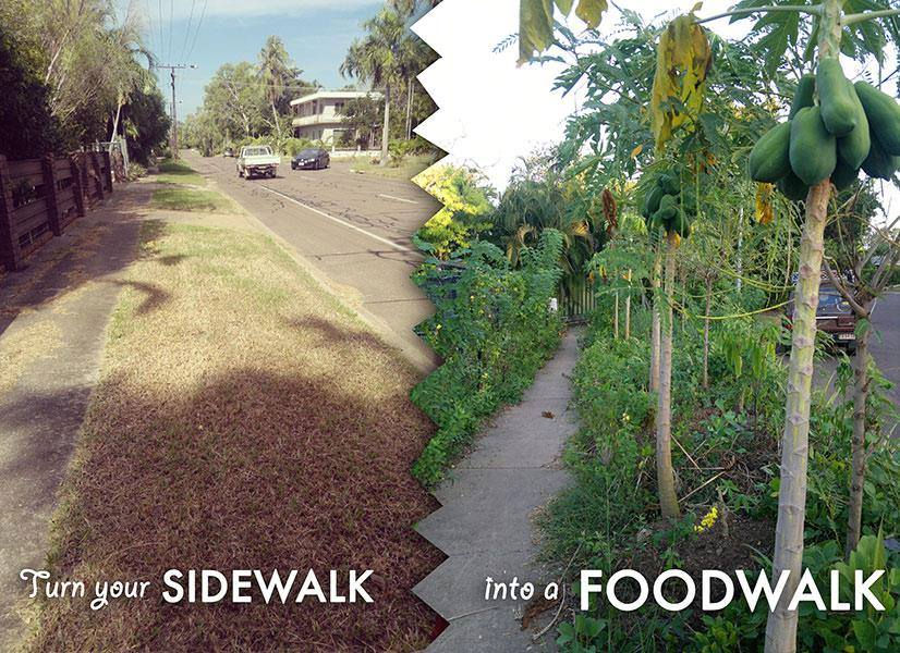 Plantar na rua une o útil ao agradável. | Foto: Food is Free Project