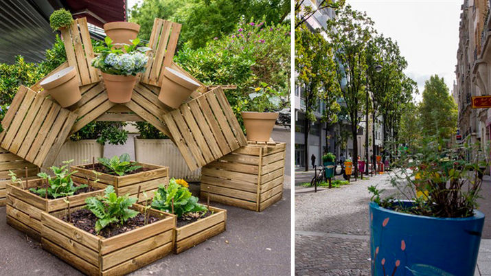 Paris vai possibilitar que moradores plantem árvores frutíferas em espaços públicos