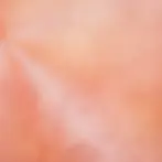 pink-794507_1280.webp