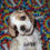 Thumbnail: Cocker spaniel Americano