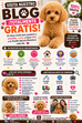 ¿Por qué el Poodle Apricot Miniatura sigue siendo uno de los perros más elegantes y adorables del mundo? 🐶🍑✨