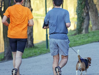 Salir a correr con tu perro