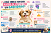 🐶 ¿Qué debes revisar antes de comprar un cachorro?✨ 