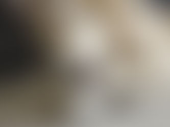 ¿Cómo evitar el mal aliento en perros?