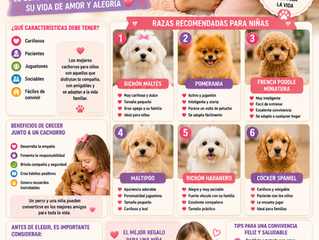 ¿Cuál es el Mejor Cachorro Para Niñas? 🐶👧❤️