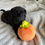 Thumbnail: Shar Pei americano