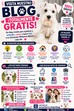 ¿Por qué el Schnauzer Miniatura Blanco sigue siendo uno de los perros más elegantes y encantadores del mundo? 🐶🤍✨