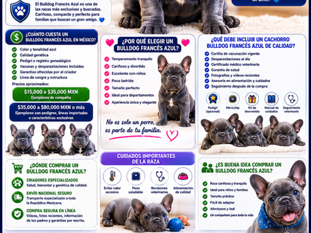 Venta de Cachorros Bulldog Francés Azul en México Precios, Características y Consejos para una Compra Segura
