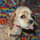 Thumbnail: Cocker spaniel Americano