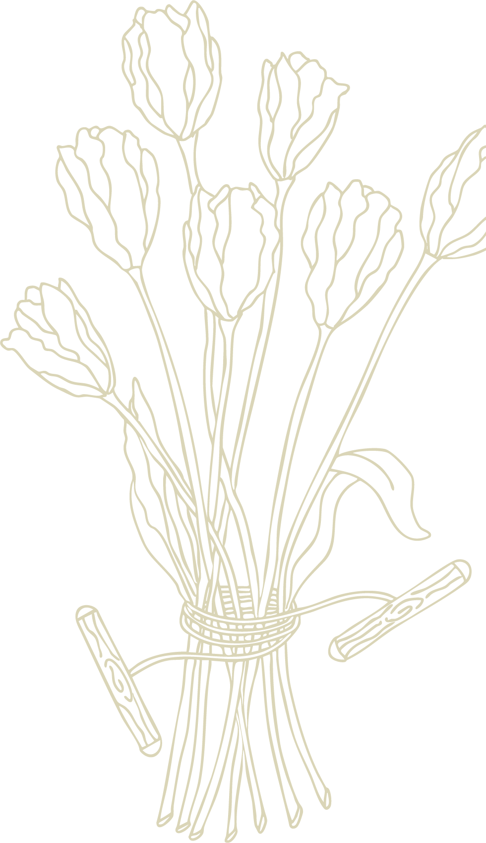 flowers- cream 1.png