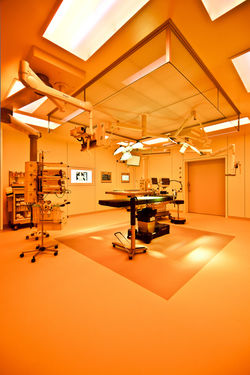 Clinique des Grangettes