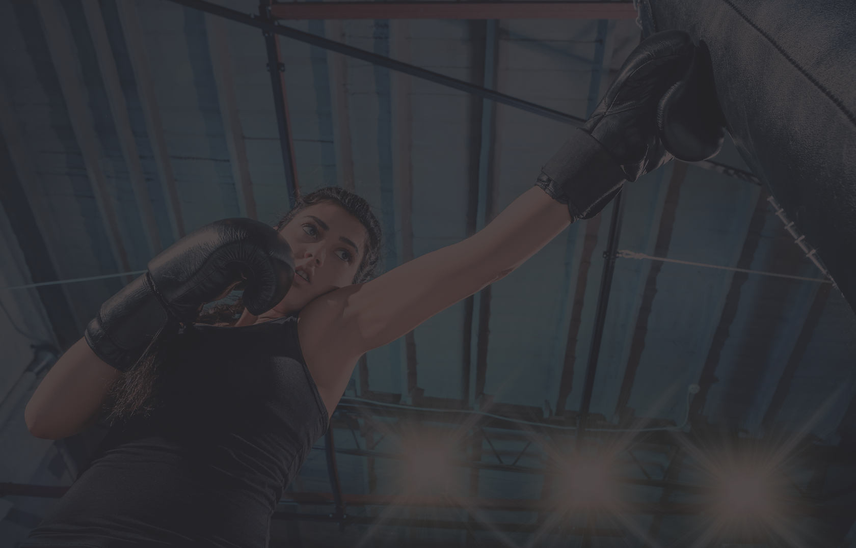 Peloton Punching Bag Shuxian Hong