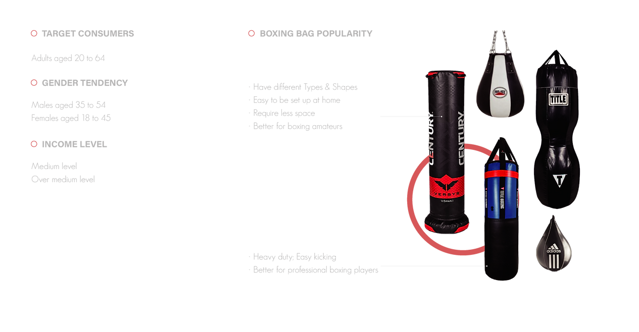 Peloton Punching Bag Shuxian Hong