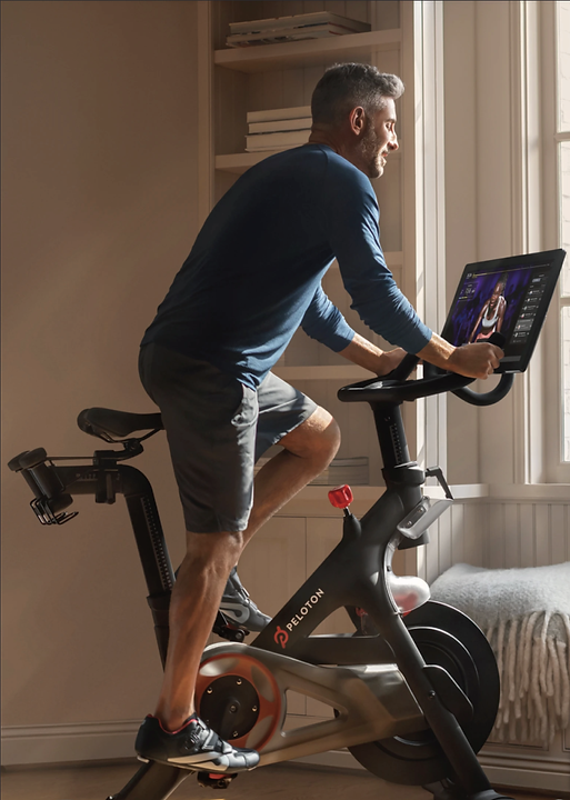 Peloton Punching Bag Shuxian Hong