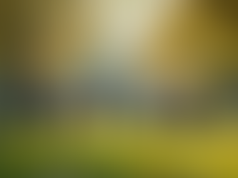 The Impact of Individual Wellness on Community Flourishing