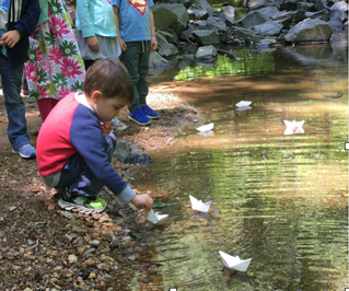 LANK Learns Nature-ally Reflections