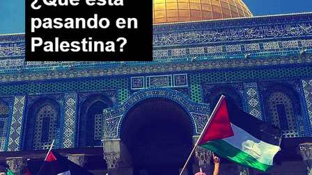 ¿Qué está pasando en Palestina?
