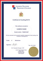 ielts sampleNEW.jpg