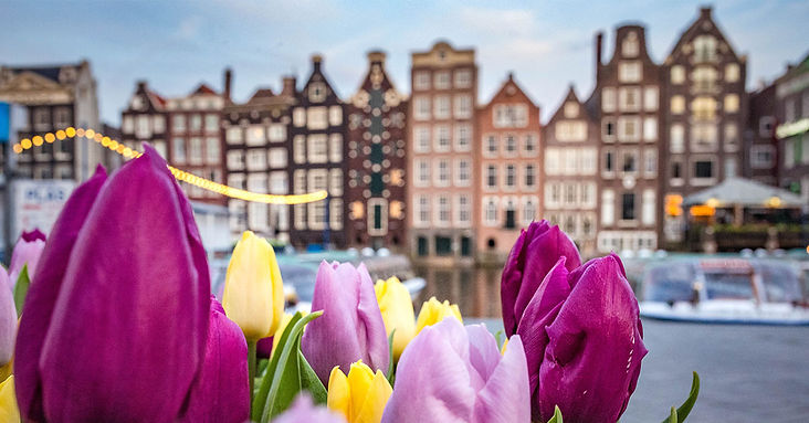 Intensive-English-Amsterdam.jpg