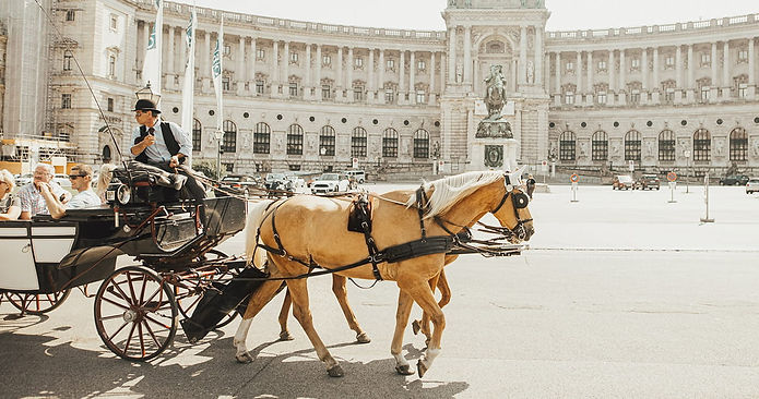 vienna-solo-visit-neg.jpg