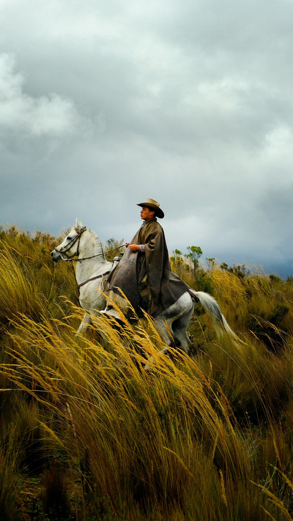 Local guide riding a white horse through tall golden grass in the Andean highlands under cloudy skies in Ecuador.