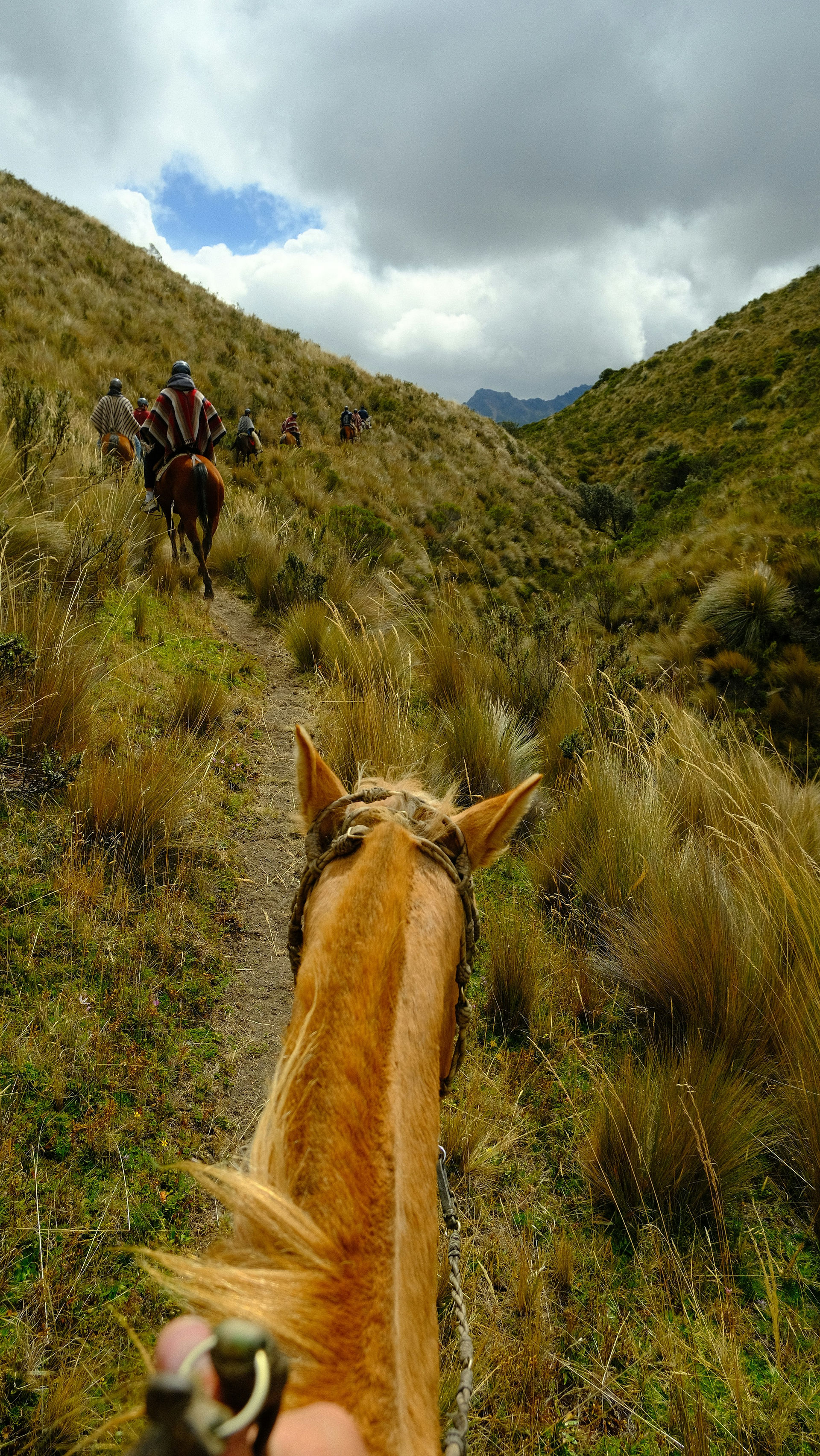 View from horseback riding along a narrow trail through grassy Andean mountains with a group of riders ahead under cloudy skies in Ecuador.