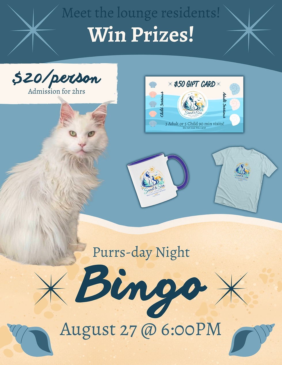 August 27: Meet The Cats Purrs-day Night Bingo!