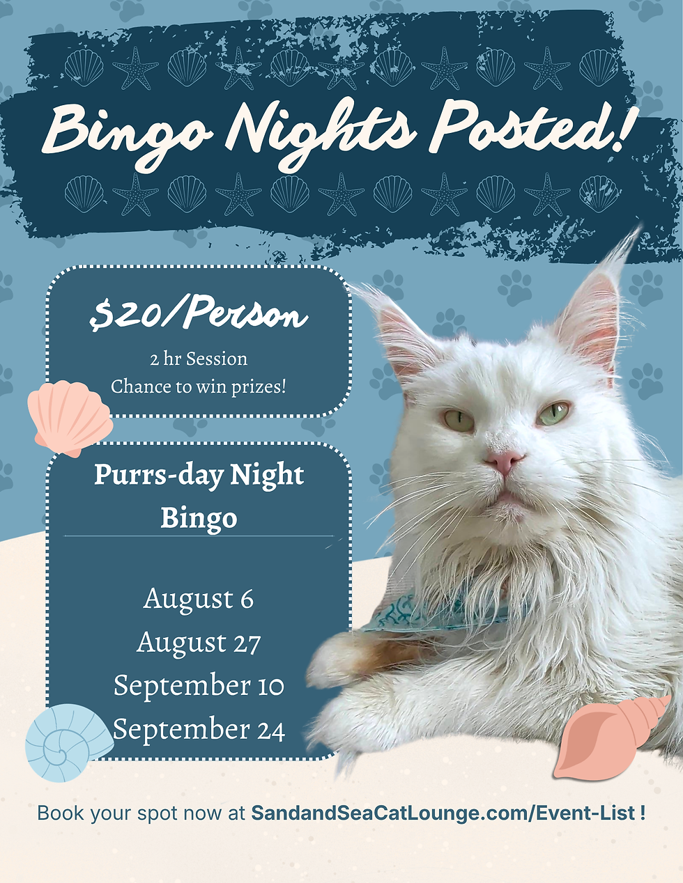 August 6: Meet The Cats Purrs-day Night Bingo!