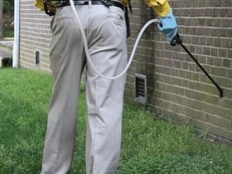 Pest Control Service Photo about.jpeg