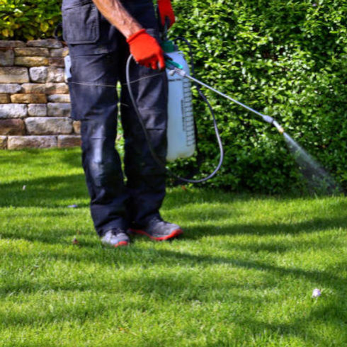 Pest Control Service Photo quote.jpeg