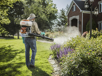 Pest Control Service Photo 6.jpeg