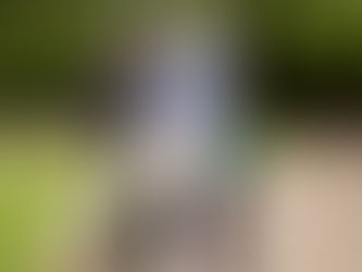 ChoirBLAST festival visitors on foot and in wheelchairs enjoy the site