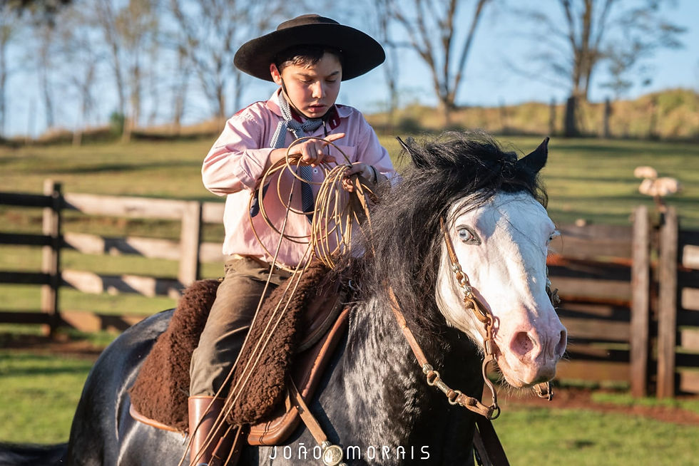 WhatsApp Image 2026-01-22 at 11.00.53