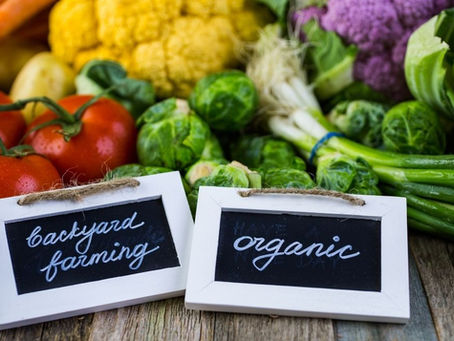 スローフードでのんびりオーガニックライフを楽しみませんか？