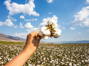 布ナプキンってこんなにすごい！オーガニックコットンで生理対策