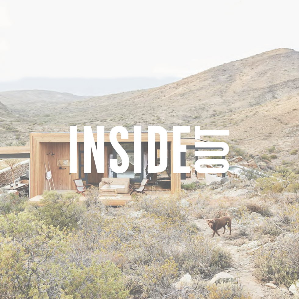 July 2021 - Inside Out AU (Caracal Cabin).png