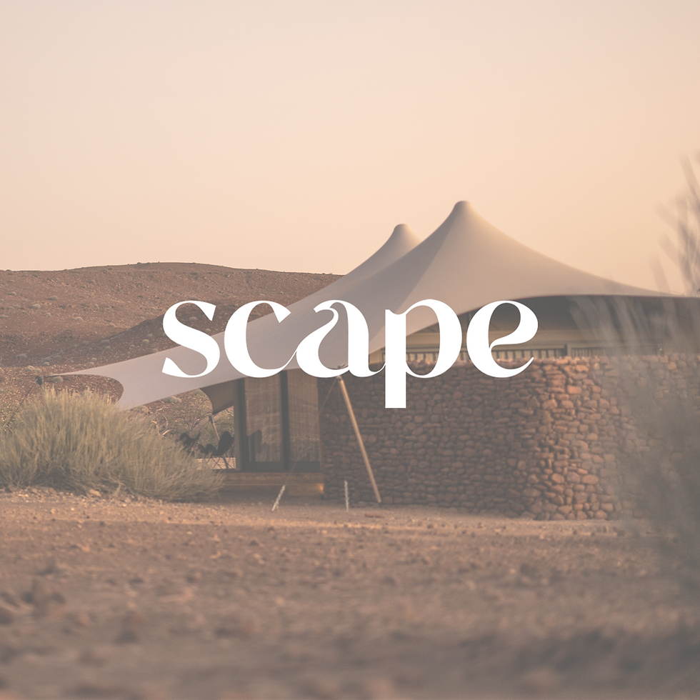2025 - desert rhino camp - SCAPE awards.png