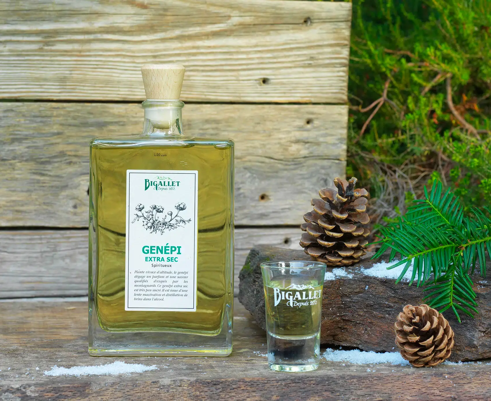 Génépi extra sec