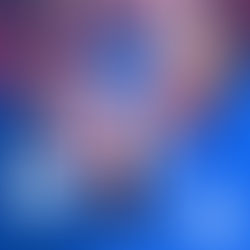 The Darts Returns to Leicester