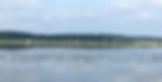 P LOHMAN CT EGRETS.jpg