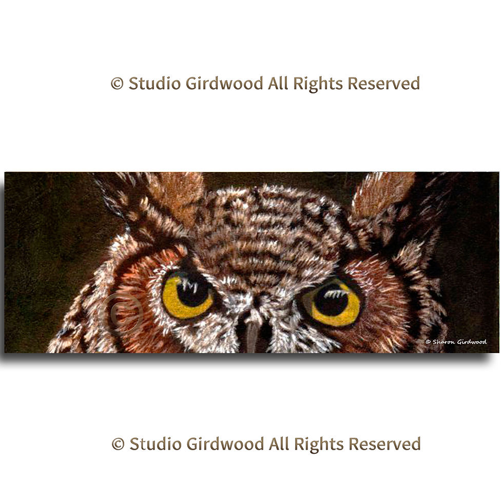 # 07 Owl Eyes