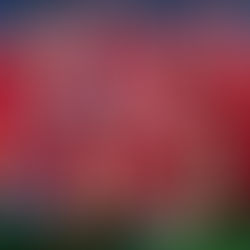 O ano após o caos: relembrando a temporada 1985-86 em dez histórias