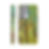Thumbnail: Emerging Birches Samsung Tough case