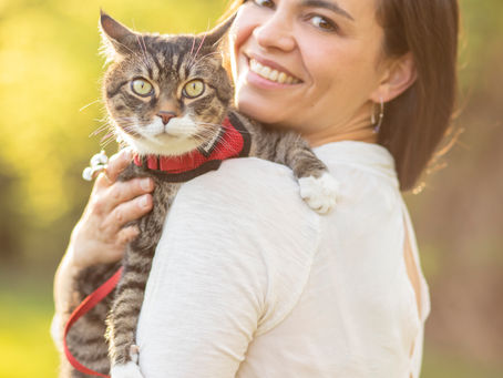 The One About pet loss and grief