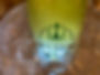 IMG-6681.jpg