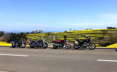 RN氏趣味バイク画像