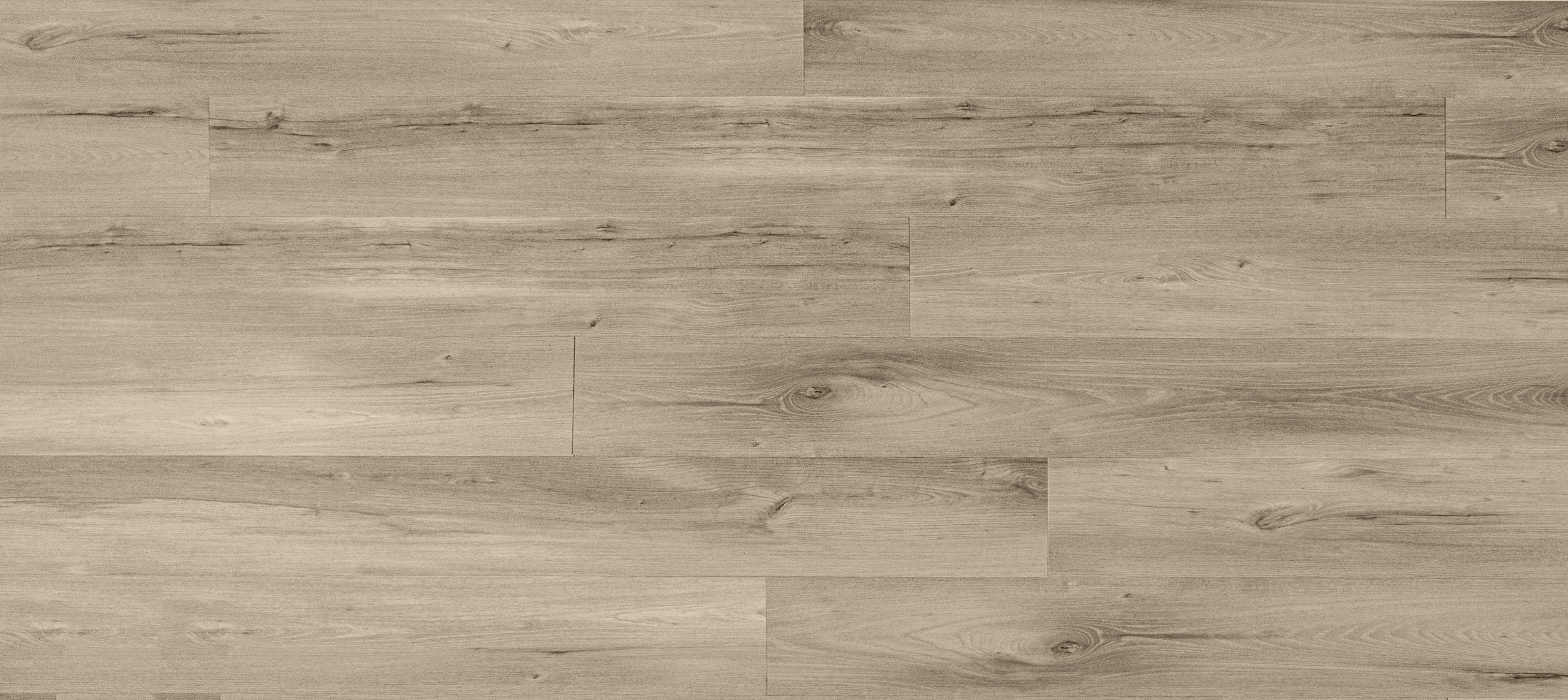 Twelve Oaks Foundation 2520 - Cotton Grey